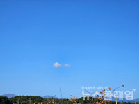 [오, 여행] 이천리 해파랑길 가진항에서 북천철교 건너 거진항까지 흰 구름 한 점과 함께 했던 길