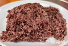 [식사합시다] 칠성옻닭