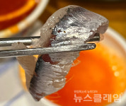 [식사합시다] 진동둔횟집