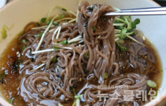 [알쏭달쏭 우리말] 모밀국수, 메밀국수