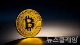 코인시장이 보내는 신호…비트코인·이더리움 힘, 밈코인 광란