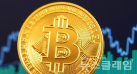 1억6800만원 뚫은 비트코인… 금리 인하 기대에 국내외 자금 몰린다