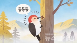 딱따구리 커피샾 | [알쏭달쏭 우리말] 딱따구리, 딱다구리