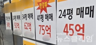[부동산 현장진단]①막아도 살 사람은 산다… 서울 중개업소가 본 버티기 시장