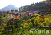 [서해안트래블] 전남 영광군 숲쟁이공원··· 느티나무 숲길 따라 법성포 한눈에