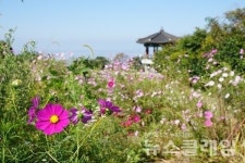 [서해안 트래블] 전남 영광군, 세계 유일 4대 종교 성지 여행