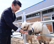 경기도 말 복지 휴양목장 개소