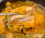 [식사합시다] 고봉삼계탕