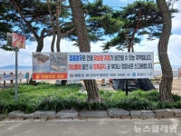 강화군 유실 목함지뢰 발견에 따른 관광객 안전관리 강화