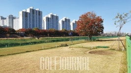 파크골프, 규모 커지며 논란도 함께