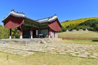 왕릉 뷰 아파트 논란, 태릉골프장 주택공급 사업에 불똥