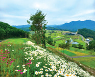 강원도 횡성 소재 최대 규모 프라이빗 코스, 벨라45CC