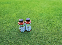 잔디에 좋은 기능성 차 씨플랜트티 개발한 시티앤그린 김인철 회장