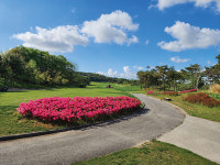 9홀 골프장의 새로운 기준, 파나시아골프클럽