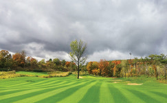 9홀 골프장의 새로운 기준, 파나시아골프클럽