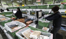 4단계 격상 덕에…온라인몰, 편의점 매출 껑충