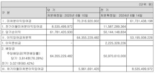 한국니토옵티칼, 당기순이익 넘는 배당금 일본 지배회사에 지급 왜?