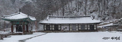 첫 설경(雪景)...겨울왕국 변신한 세종시 절경