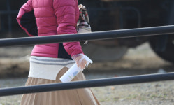 여전히 긴 줄...1주일에 2매 마스크 5부제 시행