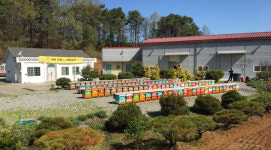 꿀벌 생태 배우고 벌꿀도.. 세종시 체험양봉 접수