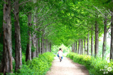 세계문화유산, 코로나 걱정 없는 공주 놀러오세요