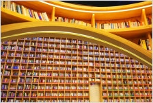 세종시민서재 지혜의 숲 가보셨나요