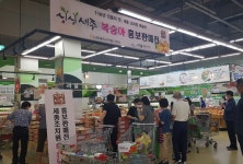 「싱싱세종 복숭아」양재하나로클럽에서 홍보판촉행사