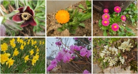 전의 목인동, 단비책방으로 봄나들이 떠나요