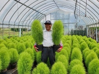 세종시 화훼농가들 재배한 꽃묘, 국립세종수목원으로