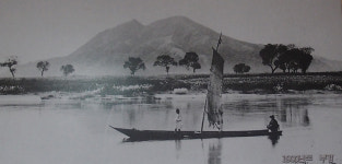 세종에서 금강귀범 다시 볼 수 있을까