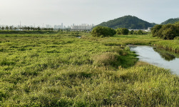 계룡산 정기, 용수천 타고 세종으로 흐른다