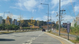 새나루 마을, 입주 코 앞인데 대중교통 없고 학교도…