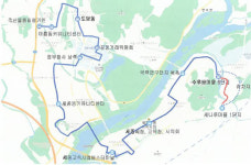 세종시 222번 시내버스 노선 연장, 4-2生 교통편의 ↑