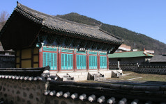 양화리 은행나무, 천연기념물 된다