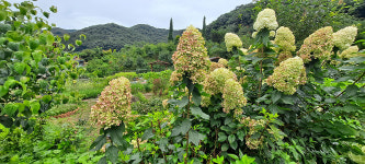목인동 정원, 부부 열정으로 무럭무럭 커갑니다