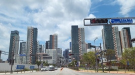 세종시 아파트, 깡통전세 가능성 낮다