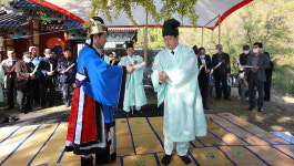 양화리 은행나무, 목신께 세종시 안녕 빌었다