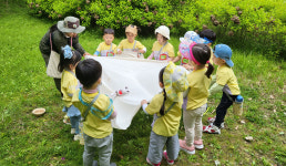 세종시 자연과 함께하는 숲 생태 공부, 참 재미있어요