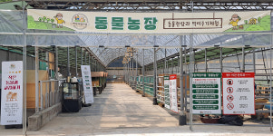 연휴 3일, 세종시 정동체험마을로 오세요