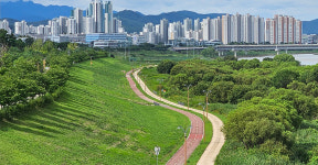 시장님! 일주일에 한두번, 자전거로 출근하세요