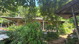 중고제 판소리, 호통치듯이 소리한다