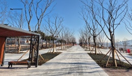 세종 도심 잇는 새 쉼터… 나성동 도시상징광장 2단계 개방