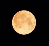 보름달 2