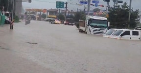 물폭탄에 광암교 붕괴… 세종 1번 국도 한때 차량통행 불가
