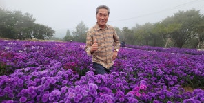 꽃과 정원은 자연 약국이다