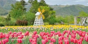 긴 연휴… 수목원에서 숲캉스 무료로 즐기면 되겠네
