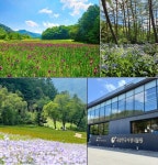 긴 연휴… 수목원에서 숲캉스 무료로 즐기면 되겠네