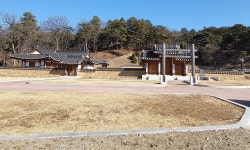 연기향교 거쳐 임난수 은행나무 보면 어떨까