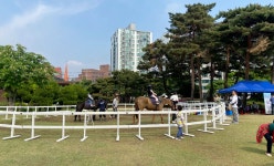 행정수도 세종 도심에서 무료 승마 체험