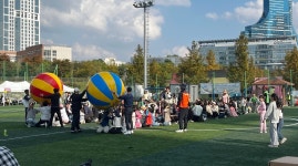 가을의 절정… 세종시 동네 곳곳에서 축제-체육대회 즐겼다
